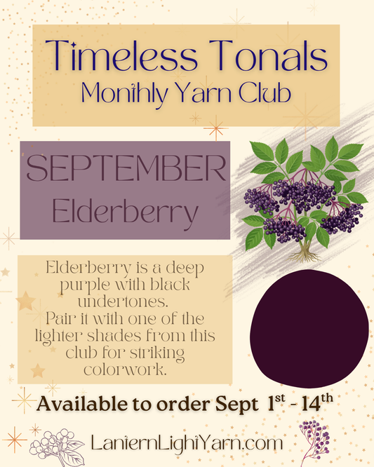 'Elderberry' | Timeless Tonals Yarn Club